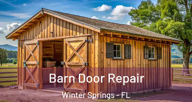  Barn Door Repair Winter Springs - FL