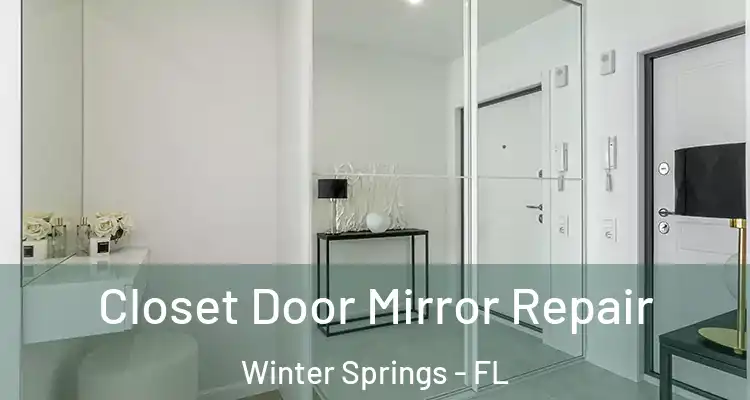  Closet Door Mirror Repair Winter Springs - FL