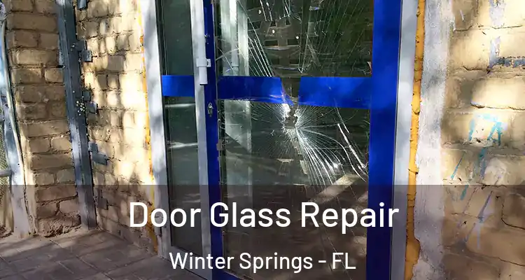  Door Glass Repair Winter Springs - FL