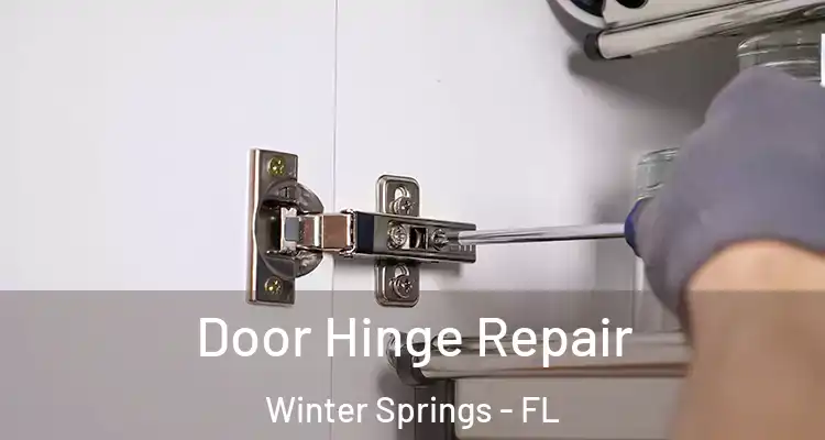  Door Hinge Repair Winter Springs - FL