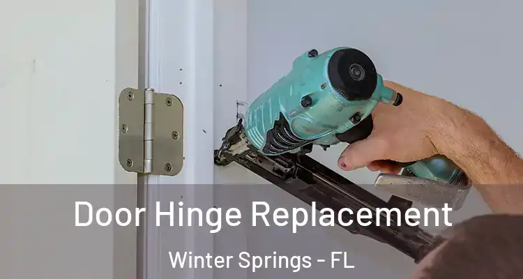 Door Hinge Replacement Winter Springs - FL