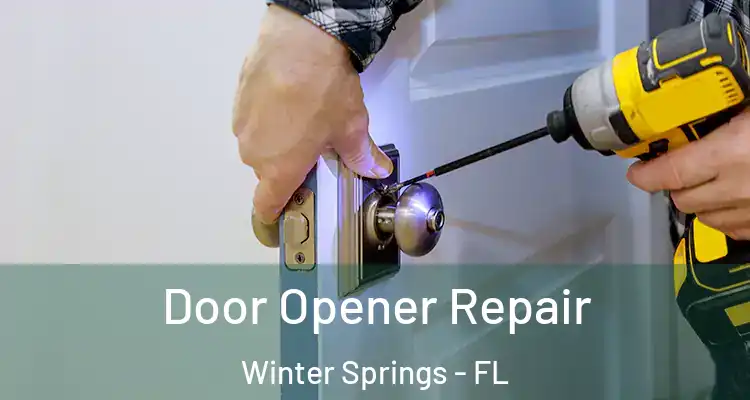  Door Opener Repair Winter Springs - FL