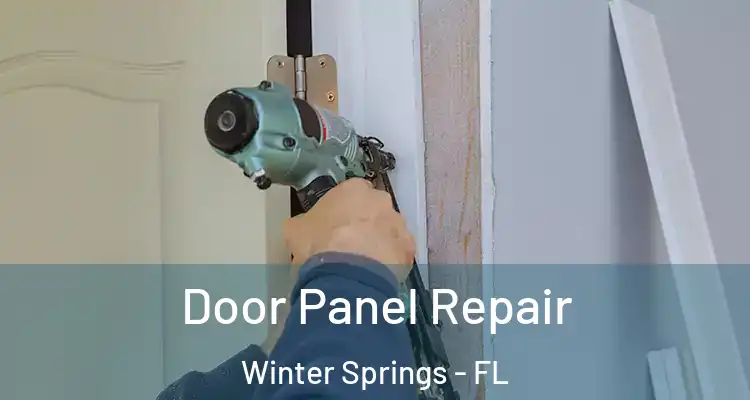  Door Panel Repair Winter Springs - FL