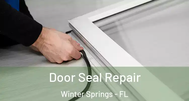  Door Seal Repair Winter Springs - FL