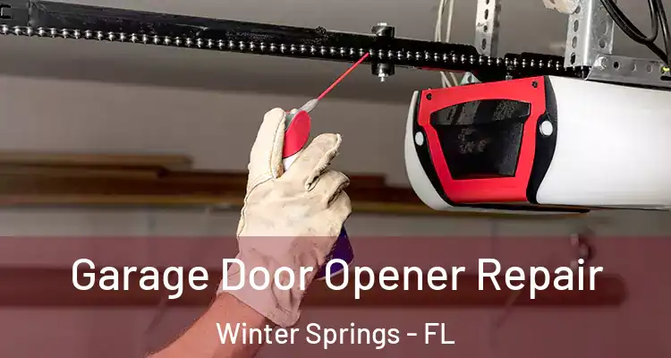  Garage Door Opener Repair Winter Springs - FL