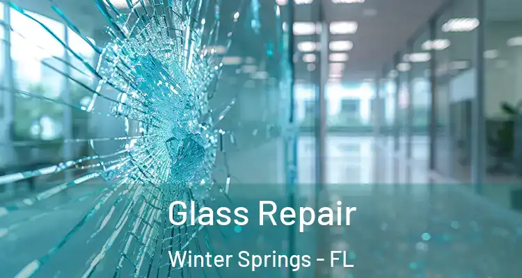  Glass Repair Winter Springs - FL