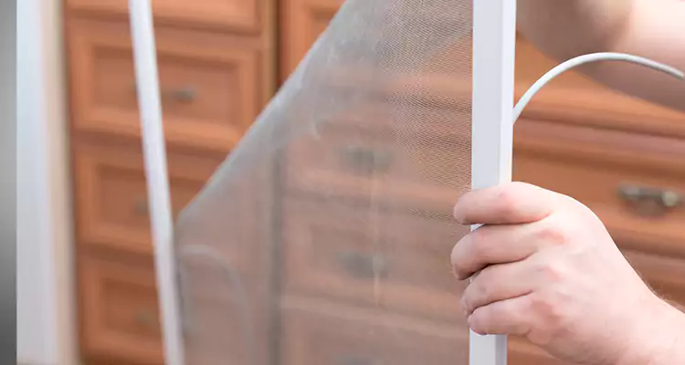 Privacy Mesh Screen Door Installation in Winter Springs, FL