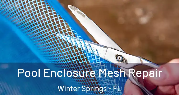  Pool Enclosure Mesh Repair Winter Springs - FL