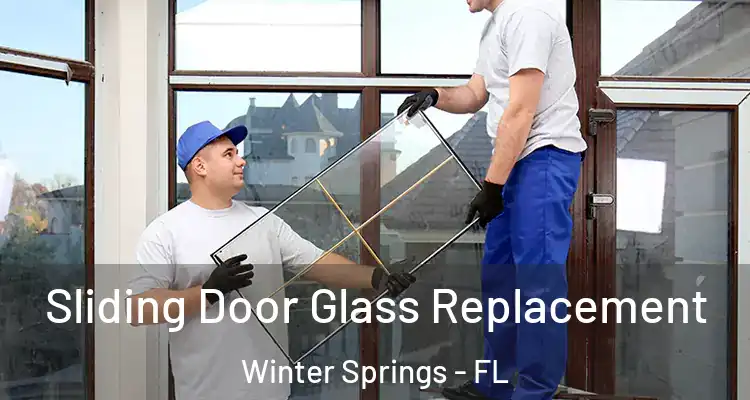  Sliding Door Glass Replacement Winter Springs - FL