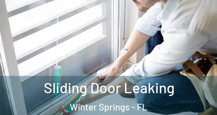  Sliding Door Leaking Winter Springs - FL