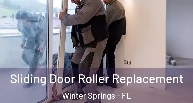  Sliding Door Roller Replacement Winter Springs - FL
