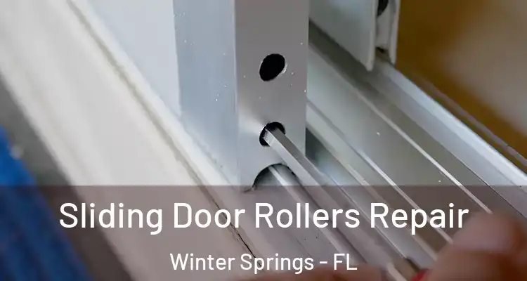  Sliding Door Rollers Repair Winter Springs - FL