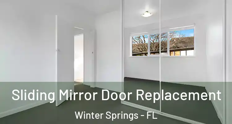  Sliding Mirror Door Replacement Winter Springs - FL
