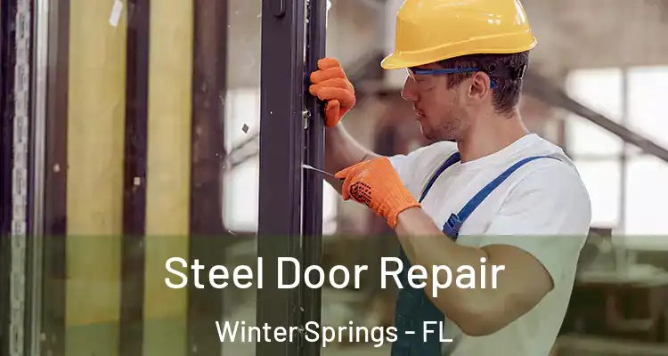  Steel Door Repair Winter Springs - FL