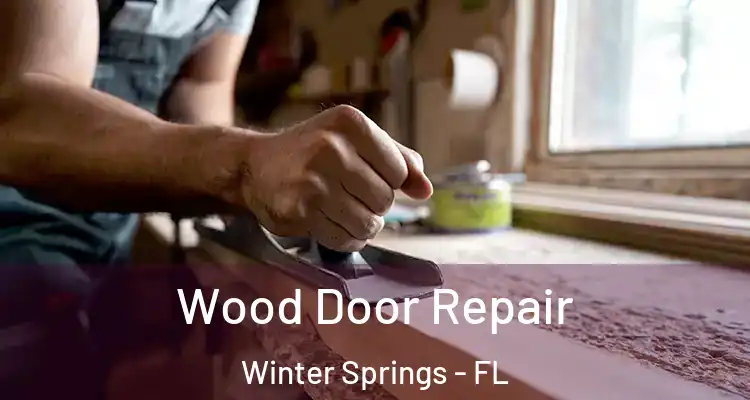  Wood Door Repair Winter Springs - FL